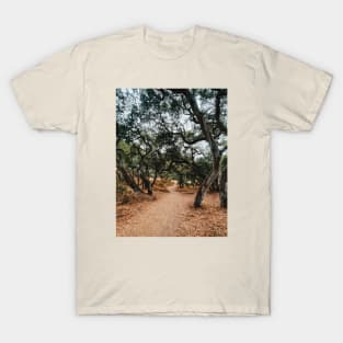 Forest Path T-Shirt